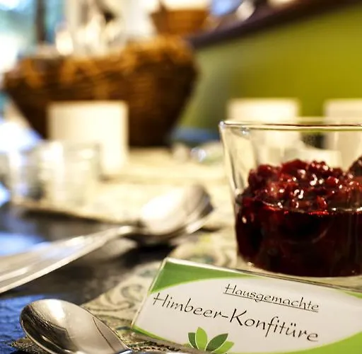 酒店 Buerer Hof 3*